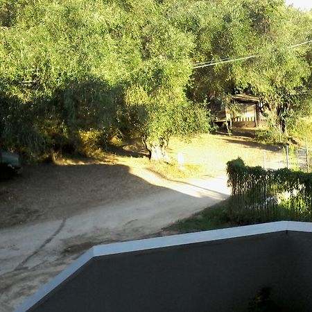 סיבוטה Afroditi Studios מראה חיצוני תמונה